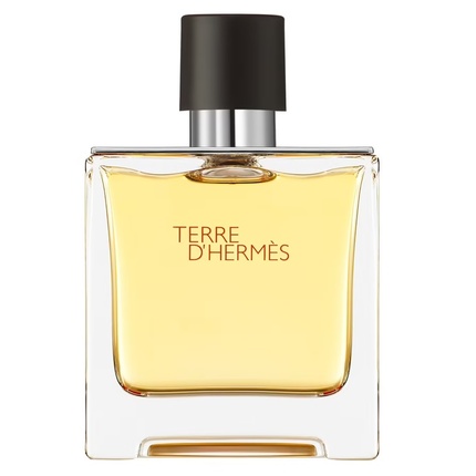 Hermès - Hermes Terre D'Hermes Perfume Spray 75ml