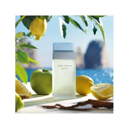 Dolce & Gabbana - Dolce & Gabbana Light Blue Eau De Toilette Spray For Women 100ml