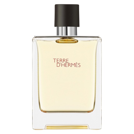 Hermès - Hermes Terre D'Hermes Eau De Toilette Spray 100ml